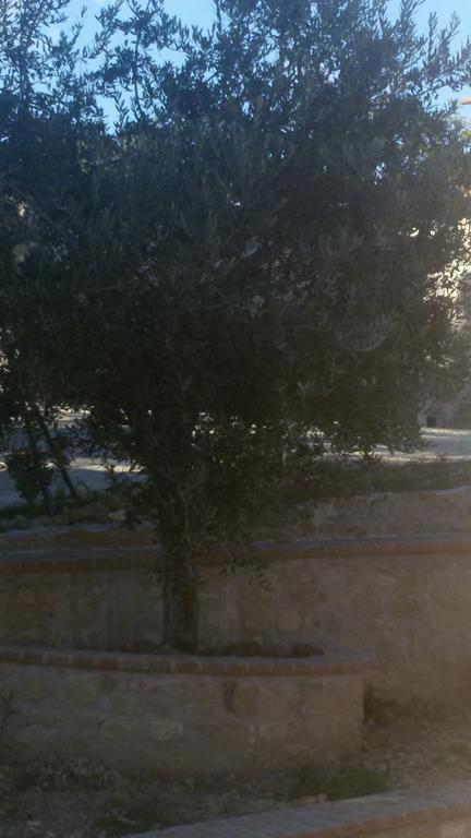 Agriturismo Villalta Ponte Felcino Buitenkant foto