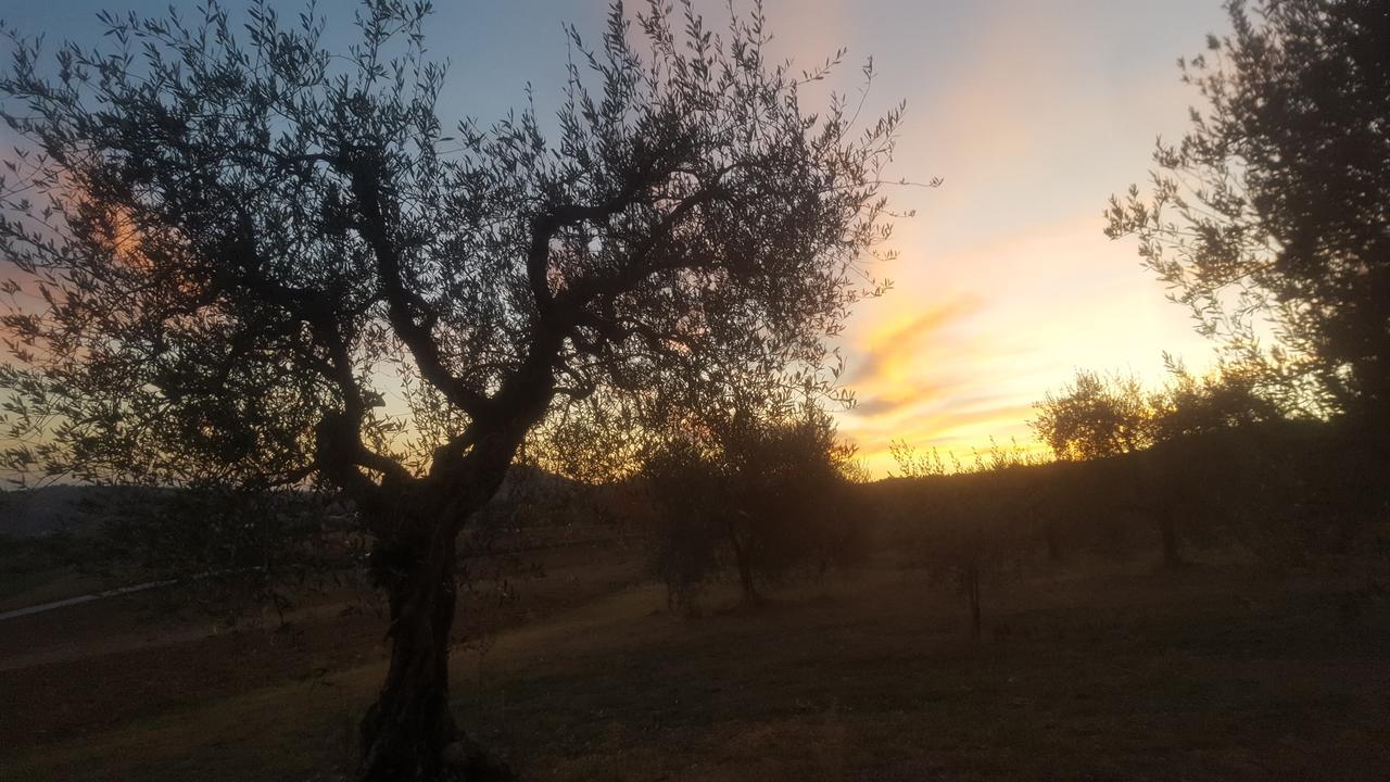 Agriturismo Villalta Ponte Felcino Buitenkant foto
